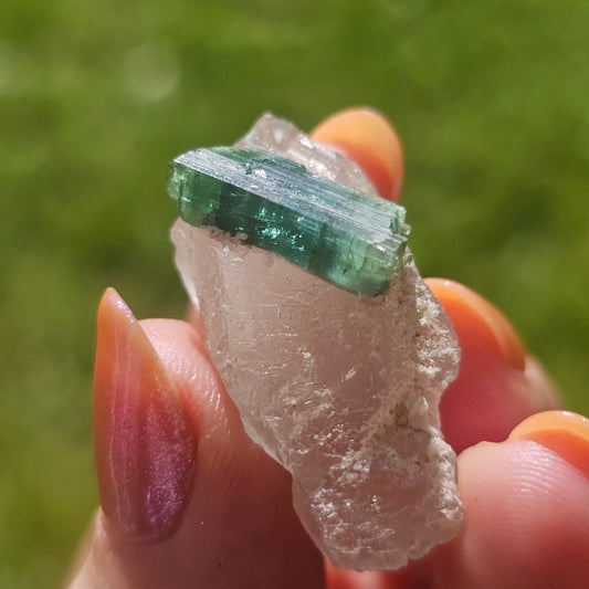 Blue Tourmaline on Quartz, 7.7g Crystal Combo, Indicolite and Rubellite on Clear Quartz, Terminated Crystals, Catseye Chatoyant Gem, Brazil