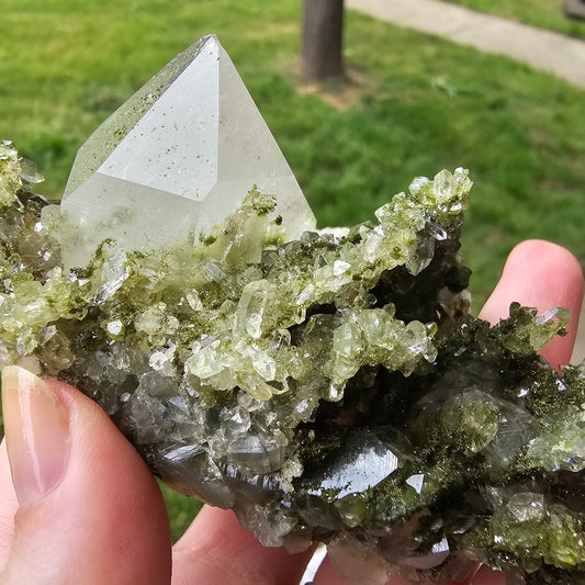 Epidote with Clear Quartz, Museum Worthy, High Grade Crystal Combo, Sparkly Druzy Dark Green Epidote, Perfect Clusters, Double Terminated