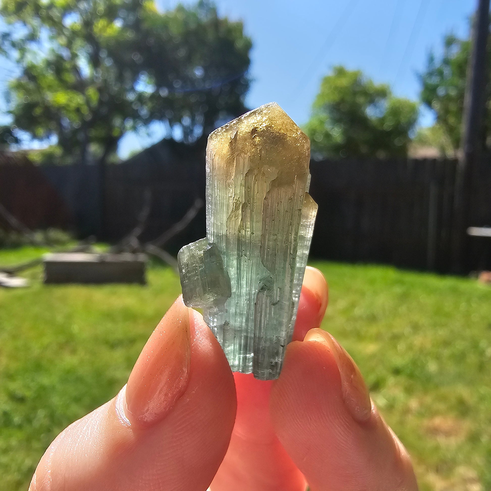 RESERVED for Jessy 9g Tourmaline Crystal from Brazil, Blue Indicolite with Yellow Cap, Terminated Rare Bicolor, Raw Elbaite Tourmaline