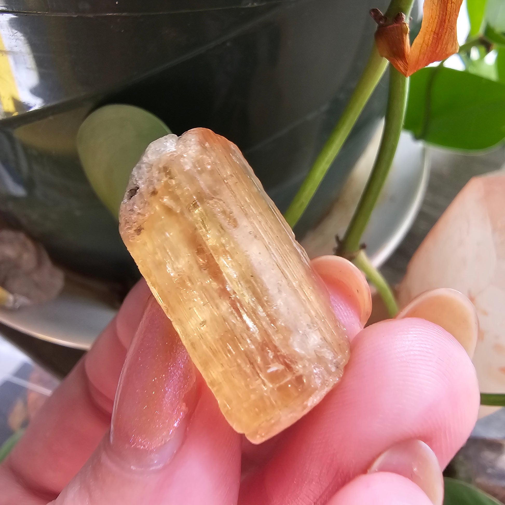 Large Imperial Topaz Gem, Ouro Preto Brazil, 50ct, Old Stock, Rare Orange, Terminated Crystal, Saturated Color, Good Luster, November Stone