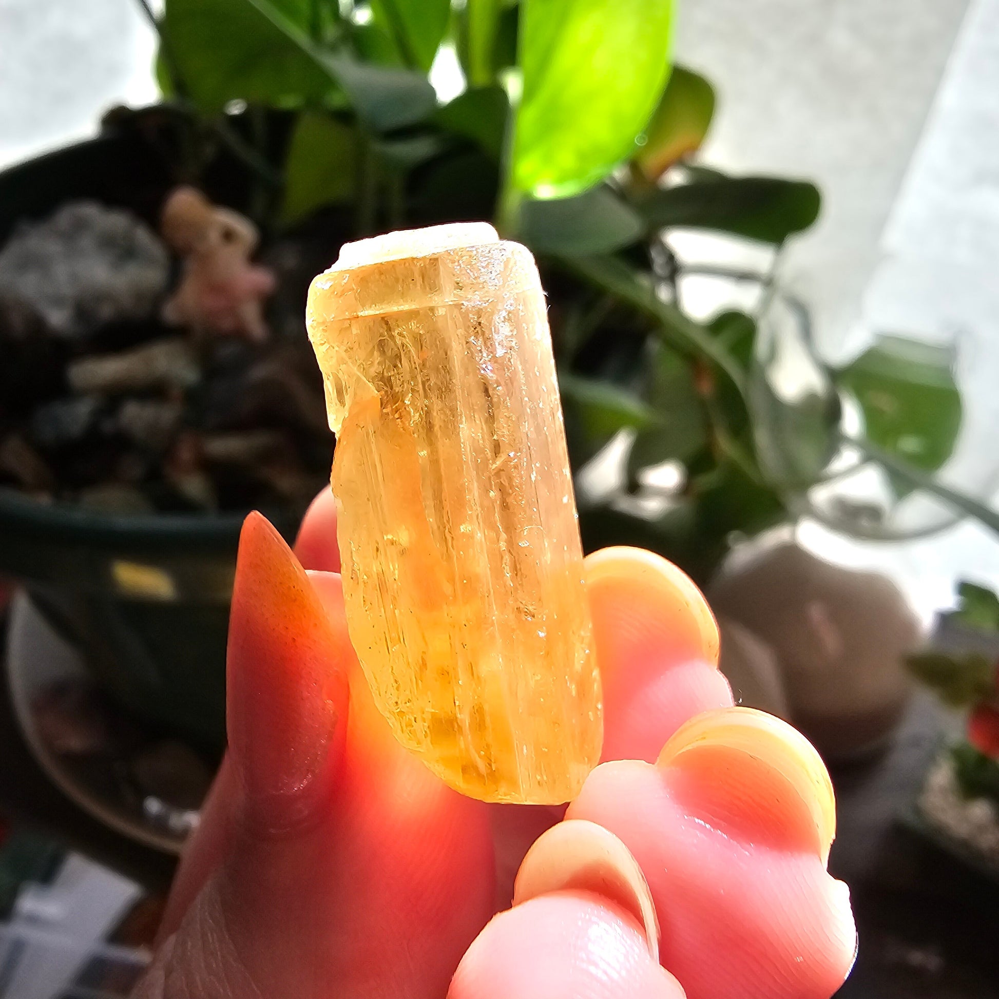 Large Imperial Topaz Gem, Ouro Preto Brazil, 50ct, Old Stock, Rare Orange, Terminated Crystal, Saturated Color, Good Luster, November Stone