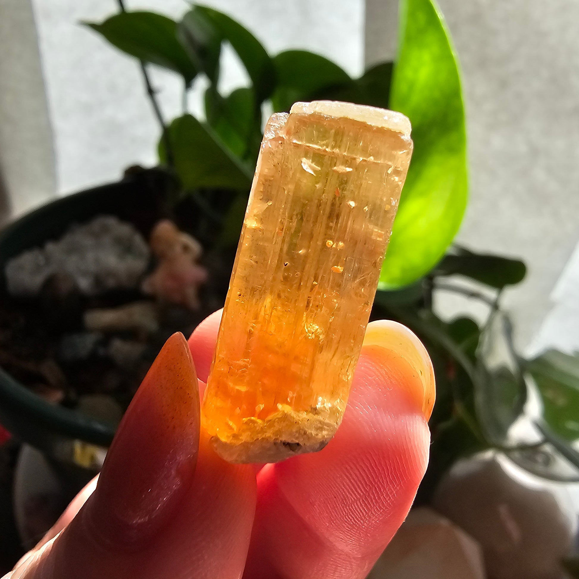 Large Imperial Topaz Gem, Ouro Preto Brazil, 50ct, Old Stock, Rare Orange, Terminated Crystal, Saturated Color, Good Luster, November Stone
