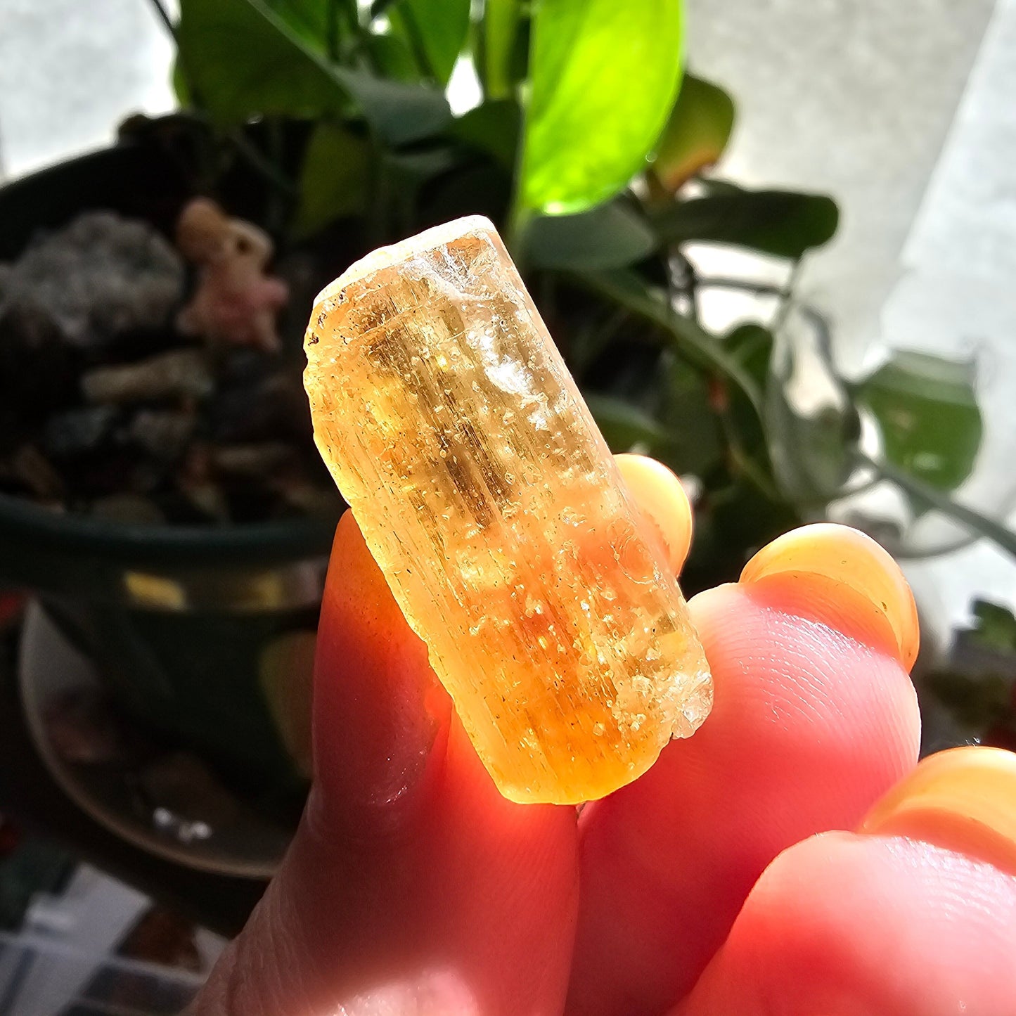 Large Imperial Topaz Gem, Ouro Preto Brazil, 50ct, Old Stock, Rare Orange, Terminated Crystal, Saturated Color, Good Luster, November Stone