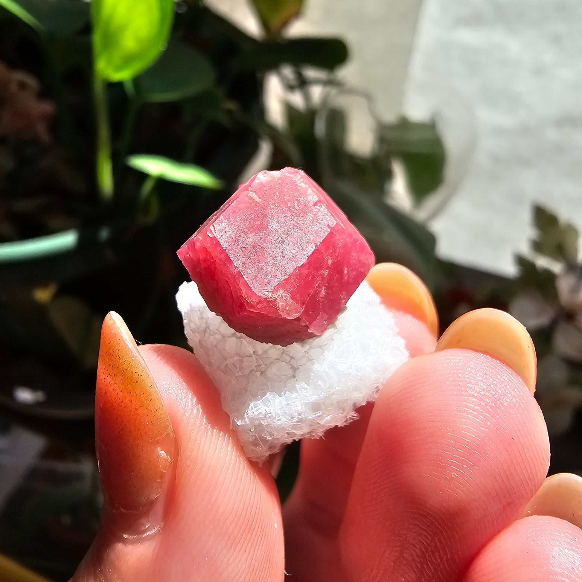 Raspberry Garnet Crystal 19ct | Raw Rare, No Matrix, Collector Rosolite Gemstone | Hot Pink Red Grossular, Sierra de Cruces, Coahuila Mexico