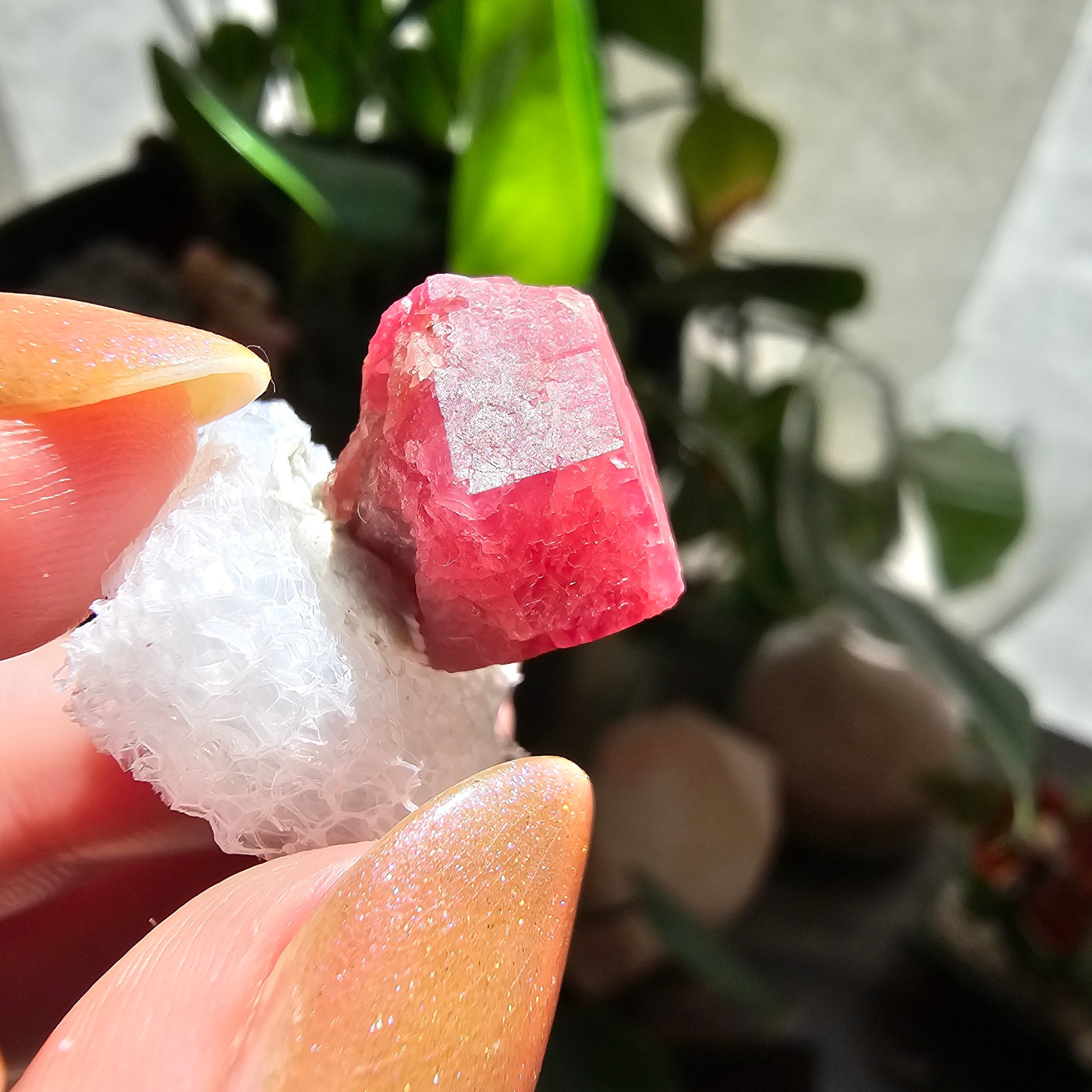 Raspberry Garnet Crystal 19ct | Raw Rare, No Matrix, Collector Rosolite Gemstone | Hot Pink Red Grossular, Sierra de Cruces, Coahuila Mexico