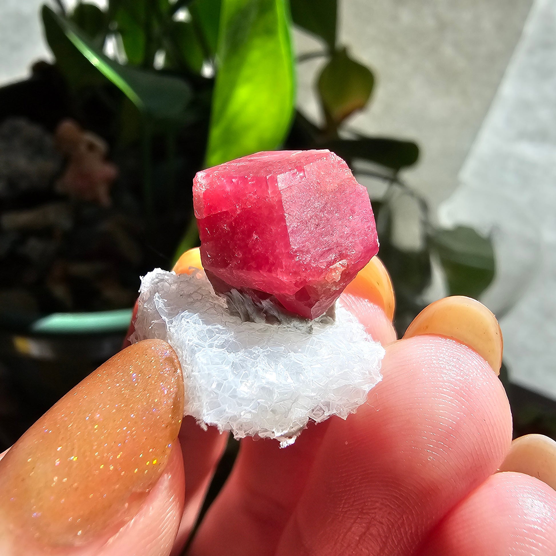 Raspberry Garnet Crystal 19ct | Raw Rare, No Matrix, Collector Rosolite Gemstone | Hot Pink Red Grossular, Sierra de Cruces, Coahuila Mexico