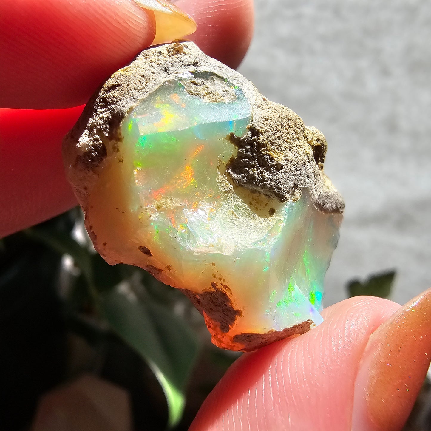 43ct Raw Opal, Rough Rare Rainbow Mineral Specimen, Rainbow Flashy Gem, Multicolored, Welo Ethiopia, Newer find, Opal w Matrix, Collectable
