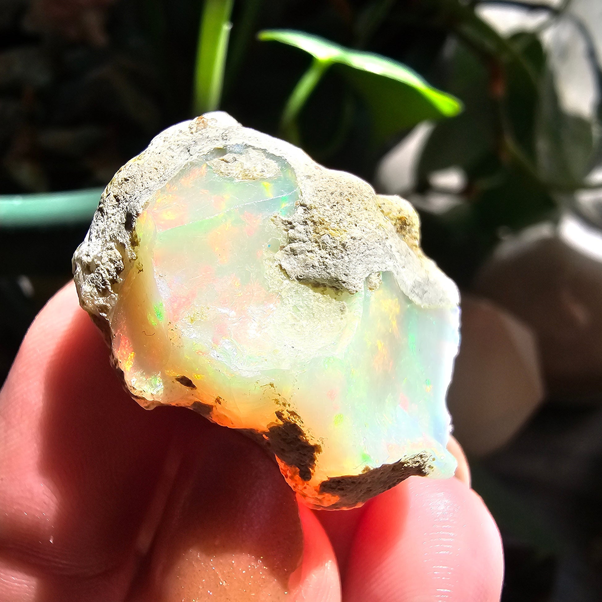 43ct Raw Opal, Rough Rare Rainbow Mineral Specimen, Rainbow Flashy Gem, Multicolored, Welo Ethiopia, Newer find, Opal w Matrix, Collectable