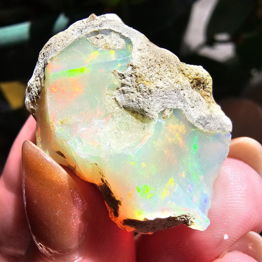 43ct Raw Opal, Rough Rare Rainbow Mineral Specimen, Rainbow Flashy Gem, Multicolored, Welo Ethiopia, Newer find, Opal w Matrix, Collectable