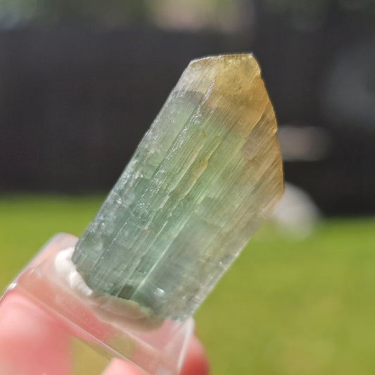 6.8g Tourmaline Crystal from Brazil, Blue Indicolite w Yellow Cap, Tabby Terminated Rare Bicolor, Raw Tabular Elbaite, Collector Gemstone