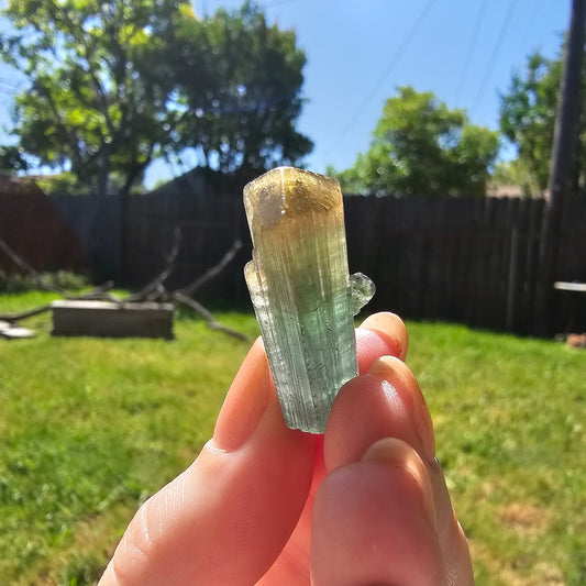 RESERVED for Jessy 9g Tourmaline Crystal from Brazil, Blue Indicolite with Yellow Cap, Terminated Rare Bicolor, Raw Elbaite Tourmaline