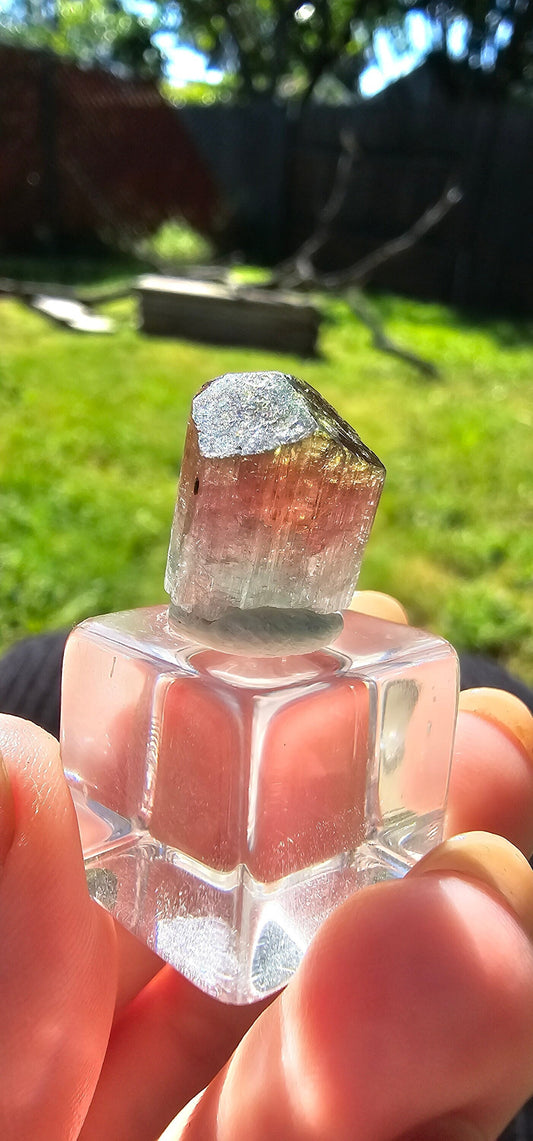 3.6g Tourmaline Crystal, Rough Raw Elbaite, Multicolored Blue, Red, Green, Lipstick tourmaline, Terminated Rare Collector Gemstone, Aricanga