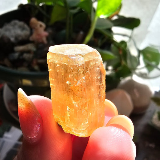 Large Imperial Topaz Gem, Ouro Preto Brazil, 50ct, Old Stock, Rare Orange, Terminated Crystal, Saturated Color, Good Luster, November Stone