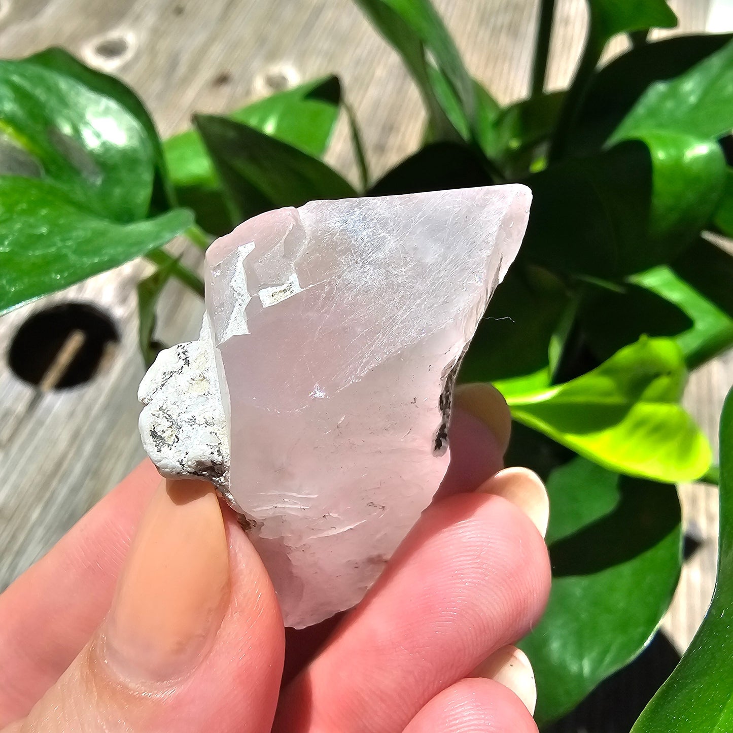 110ct Pink Morganite Crystal, Terminated Pale Pink Beryl, Raw Rare Mineral Specimen, Rough Morganite, Skardu Pakistan, w Quartz Association