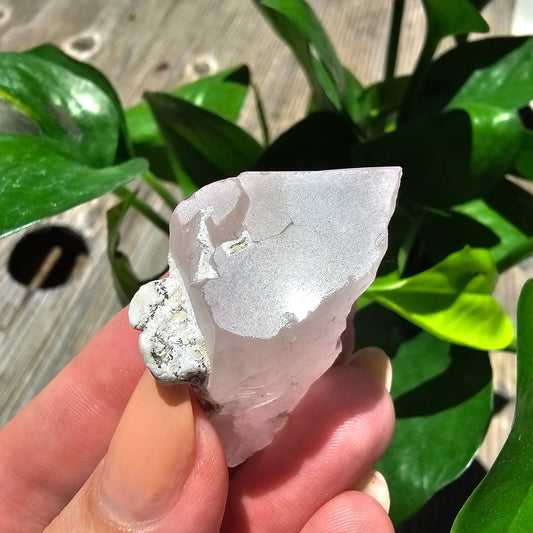 110ct Pink Morganite Crystal, Terminated Pale Pink Beryl, Raw Rare Mineral Specimen, Rough Morganite, Skardu Pakistan, w Quartz Association
