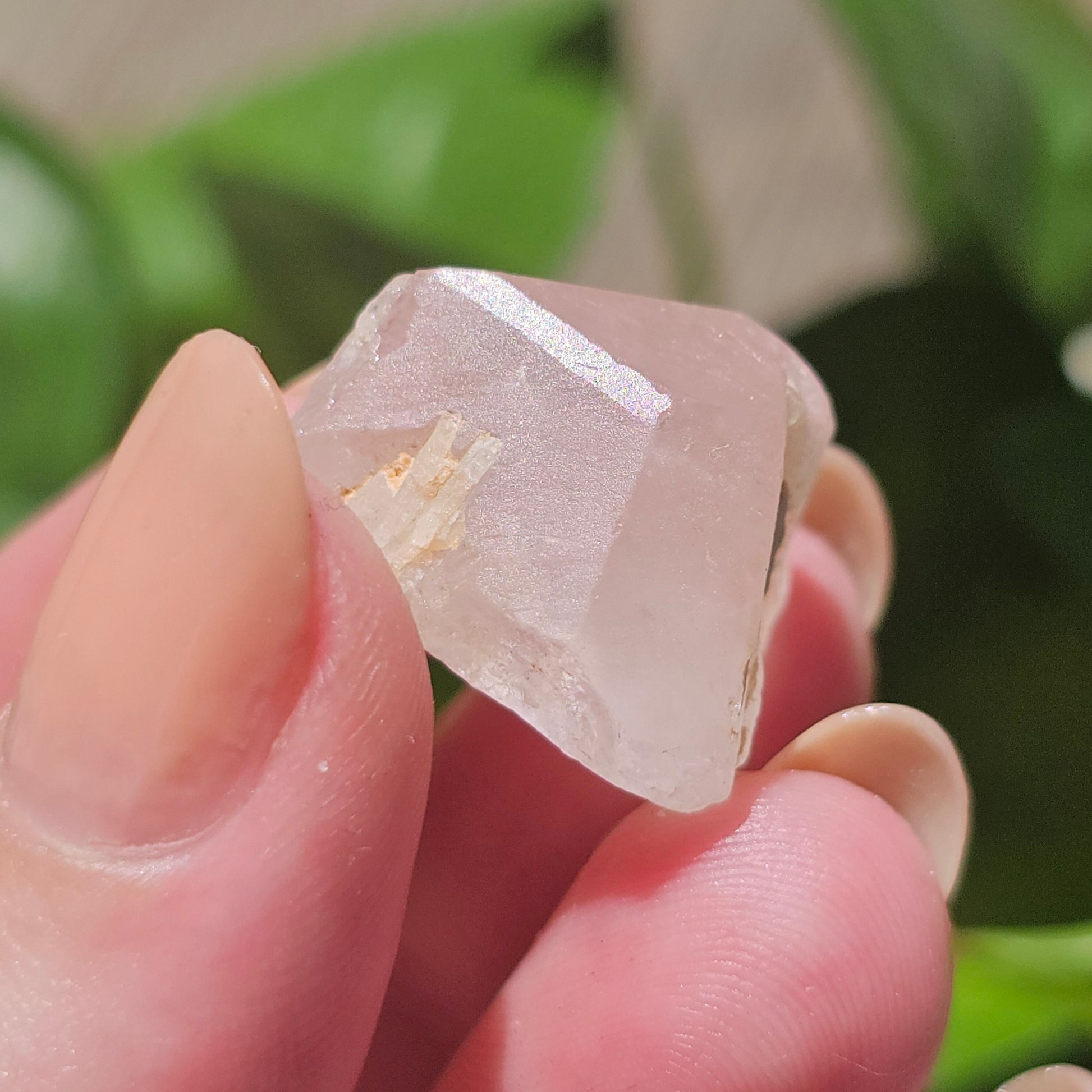 36ct Pink Morganite Crystal, Terminated Pale Pink Beryl, Raw Rare Mineral Specimen, Rough Morganite, Skardu Pakistan, Chunky Pocket Stone