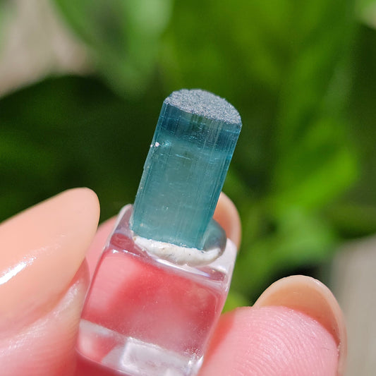RESERVED for Omar 5ct Tourmaline Gem, Rich Bright Blue Indicolite, Elbaite Raw Gemstone, Rare Specimen, Blue Capped, Terminated