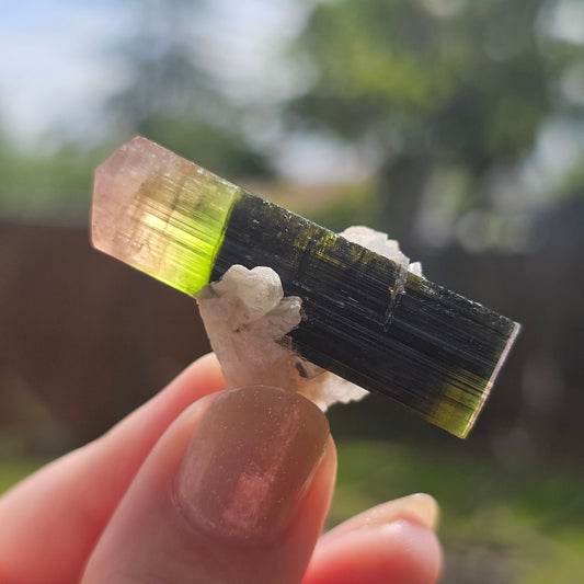 RESERVED for Bernhard Tourmaline Crystal, Stak Nala, Raw Elbaite, Double Terminated, with Matrix, Pink Green and Purple, Parti Colored