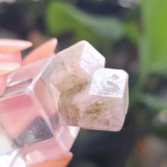 Pink and Green Garnet, Sierra de Cruces, Mexico, Old Stock, Lustrous Terminated, Twinned Grossular Garnet, Baby Pink, Watermelon, Collector