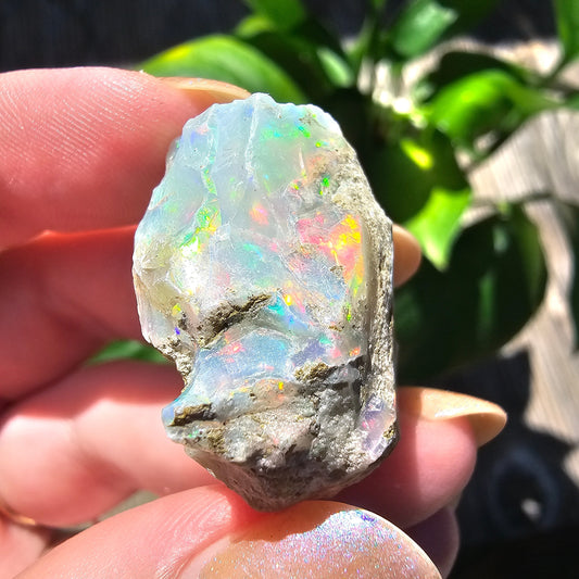 38ct Raw Opal, Rough Rare Rainbow Mineral Specimen, Rainbow Flashy Gem, Multicolored, Welo Ethiopia, Newer find, Opal w Matrix, Collectable