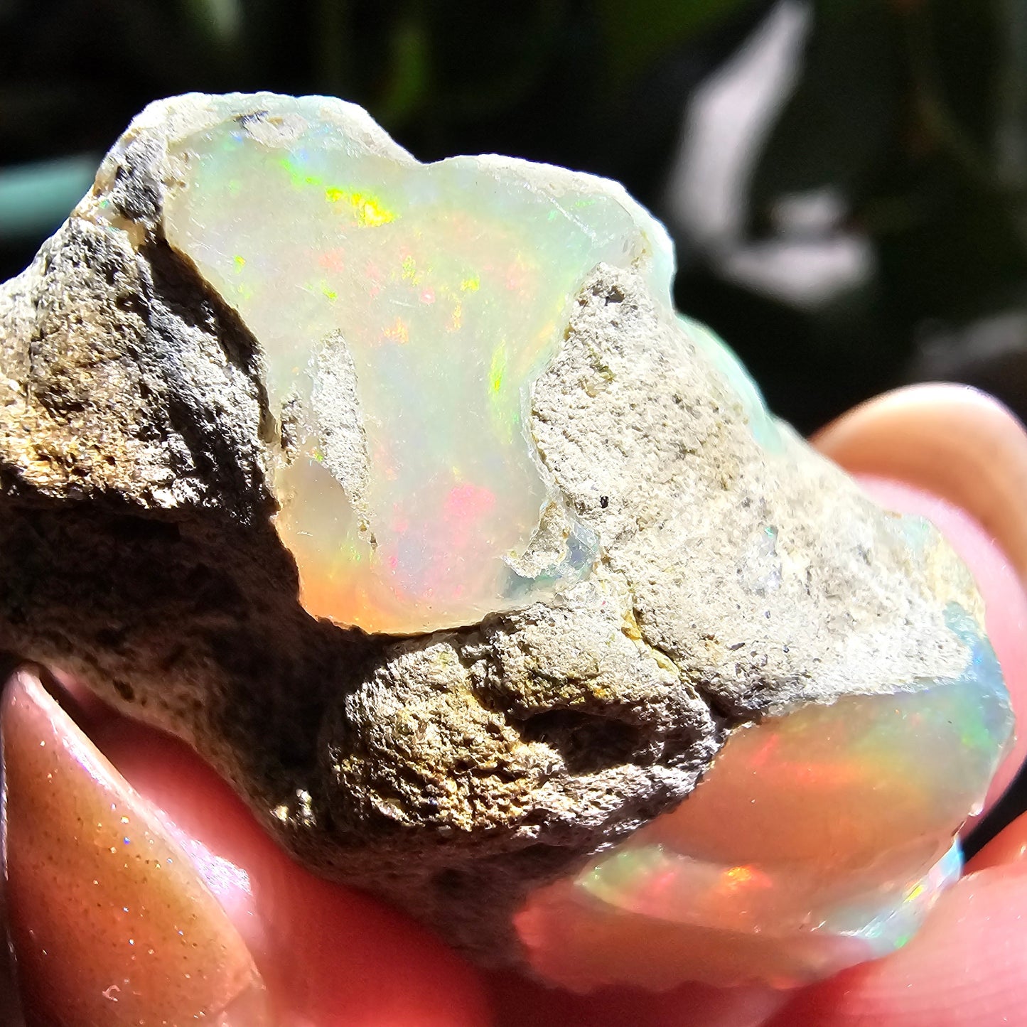 43ct Raw Opal, Rough Rare Rainbow Mineral Specimen, Rainbow Flashy Gem, Multicolored, Welo Ethiopia, Newer find, Opal w Matrix, Collectable
