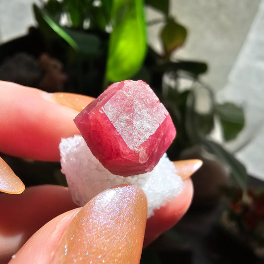 Raspberry Garnet Crystal 19ct | Raw Rare, No Matrix, Collector Rosolite Gemstone | Hot Pink Red Grossular, Sierra de Cruces, Coahuila Mexico