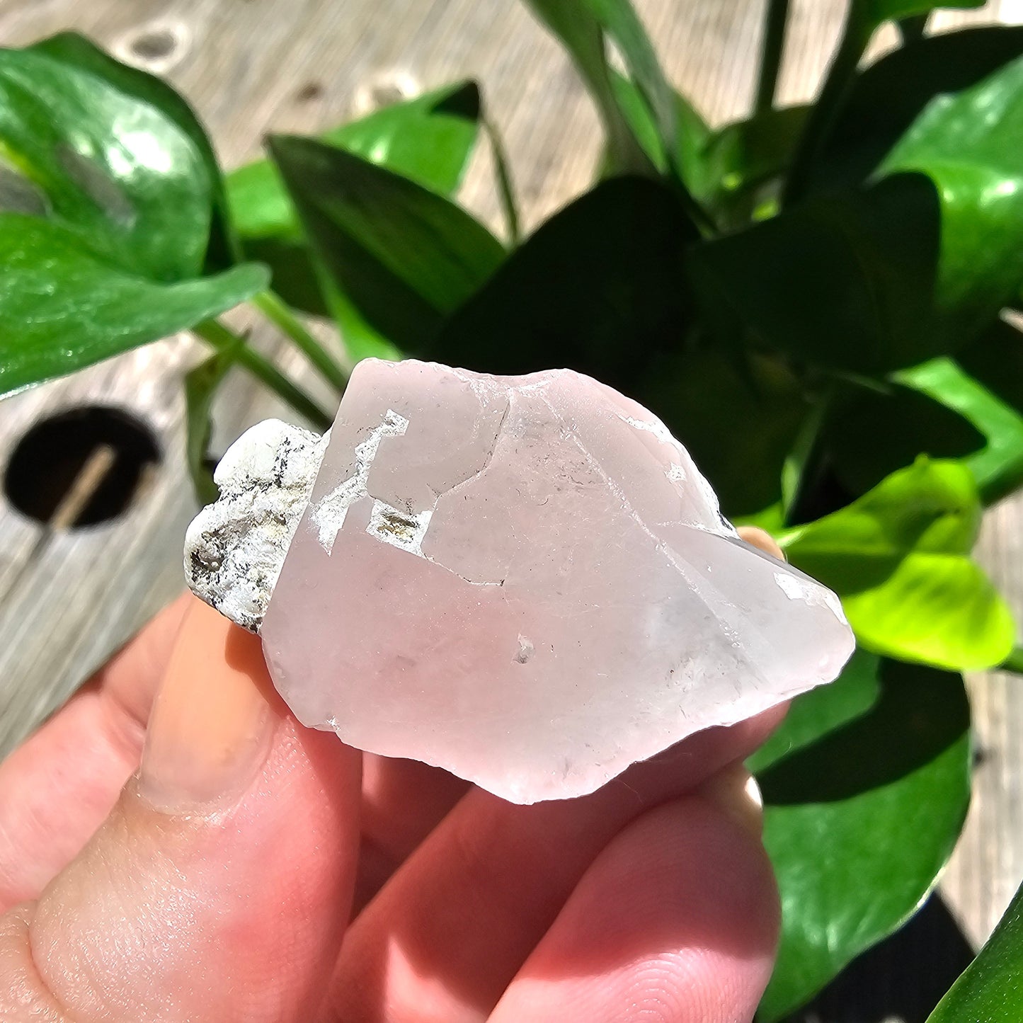 110ct Pink Morganite Crystal, Terminated Pale Pink Beryl, Raw Rare Mineral Specimen, Rough Morganite, Skardu Pakistan, w Quartz Association