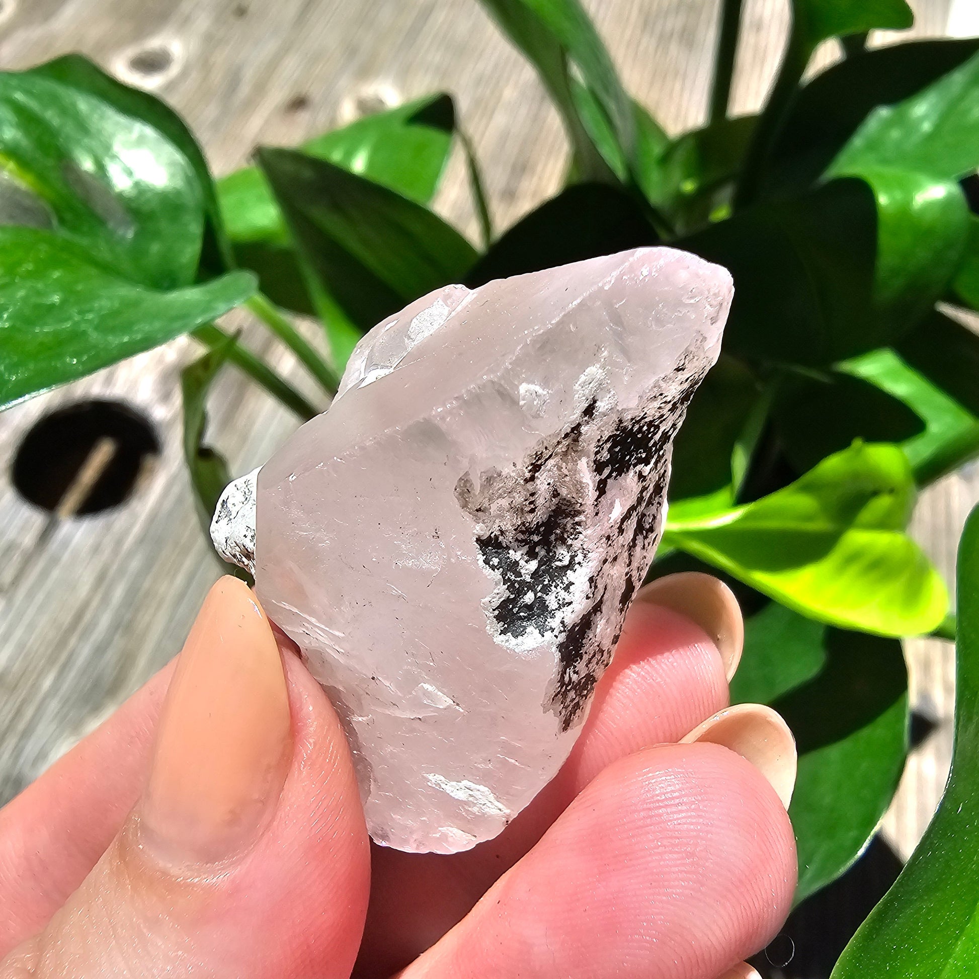110ct Pink Morganite Crystal, Terminated Pale Pink Beryl, Raw Rare Mineral Specimen, Rough Morganite, Skardu Pakistan, w Quartz Association