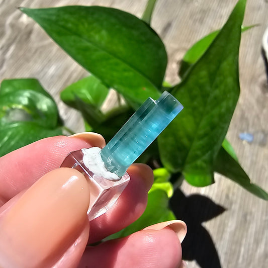 5.3ct Tourmaline Twin, Rich Bright Blue Indicolite, Elbaite Twinned Gemstone, Rare Specimen, Blue Capped, Terminated Raw Rough Crystal