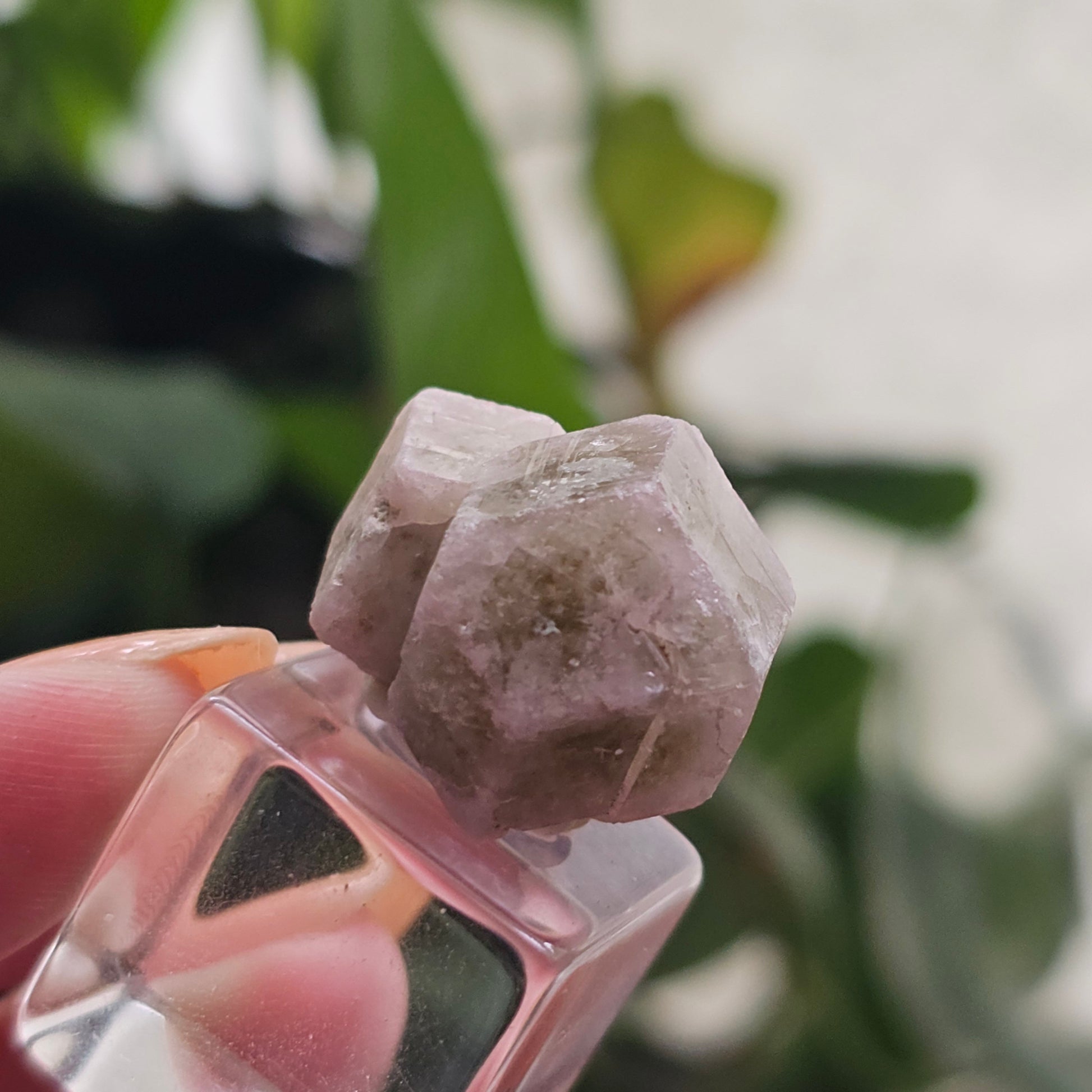 Pink and Green Garnet, Sierra de Cruces, Mexico, Old Stock, Lustrous Terminated, Twinned Grossular Garnet, Baby Pink, Watermelon, Collector