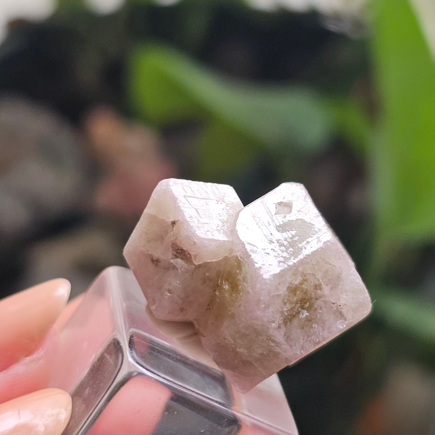 Pink and Green Garnet, Sierra de Cruces, Mexico, Old Stock, Lustrous Terminated, Twinned Grossular Garnet, Baby Pink, Watermelon, Collector
