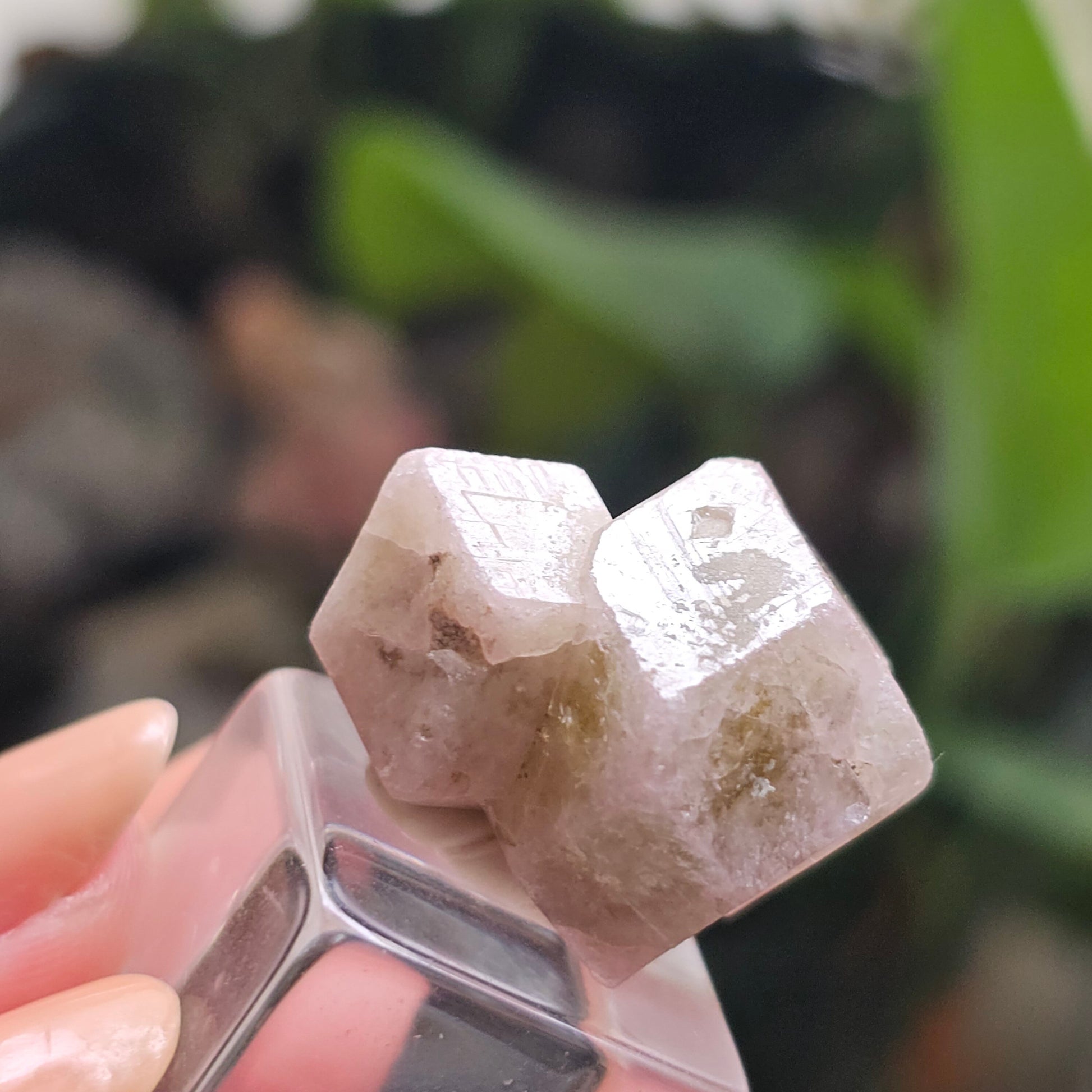 Pink and Green Garnet, Sierra de Cruces, Mexico, Old Stock, Lustrous Terminated, Twinned Grossular Garnet, Baby Pink, Watermelon, Collector