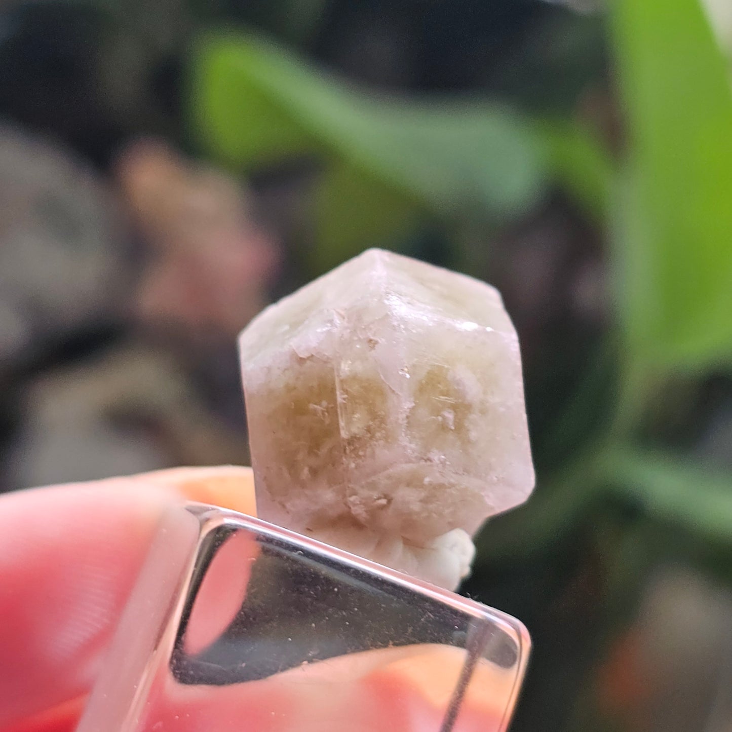 Pink and Green Garnet, Sierra de Cruces, Mexico, Old Stock, Lustrous Terminated, Twinned Grossular Garnet, Baby Pink, Watermelon, Collector