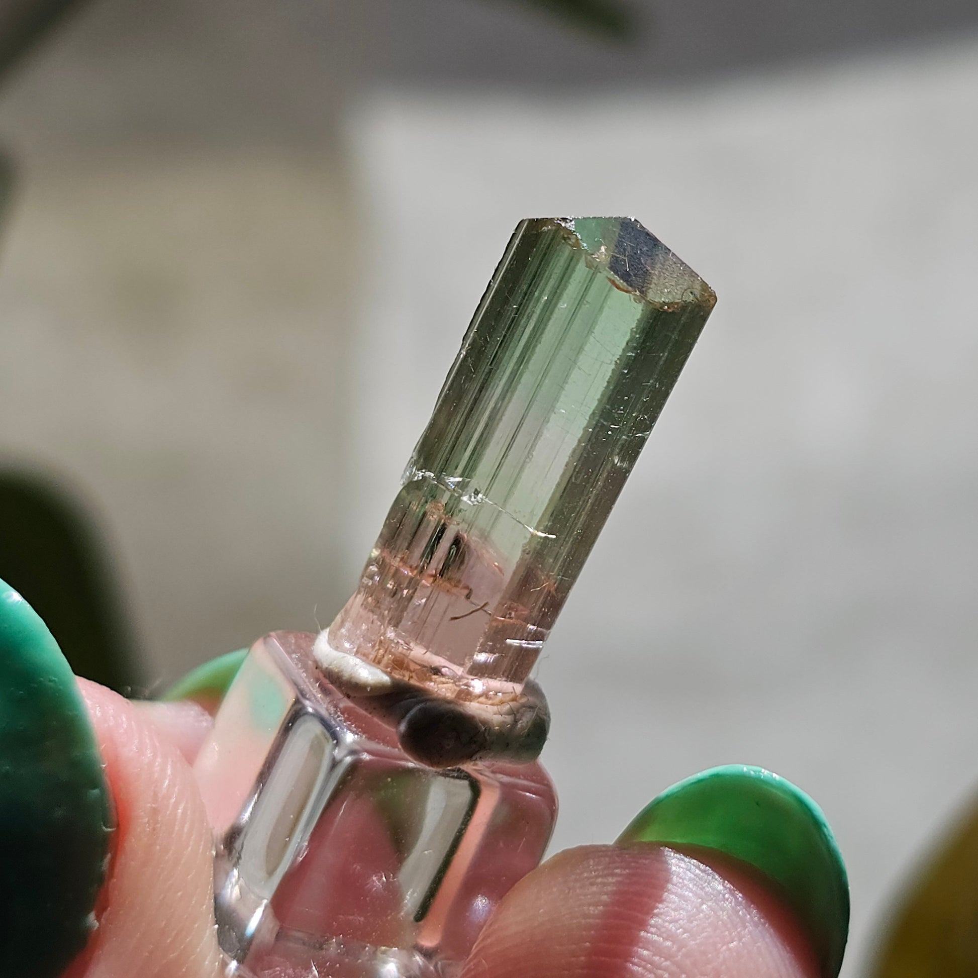 Tricolor Tourmaline Crystal, 9ct Raw Terminated Elbaite, Rare Gemstone, Perfect Termination, Pink Yellow and Green Tourmaline, October Stone