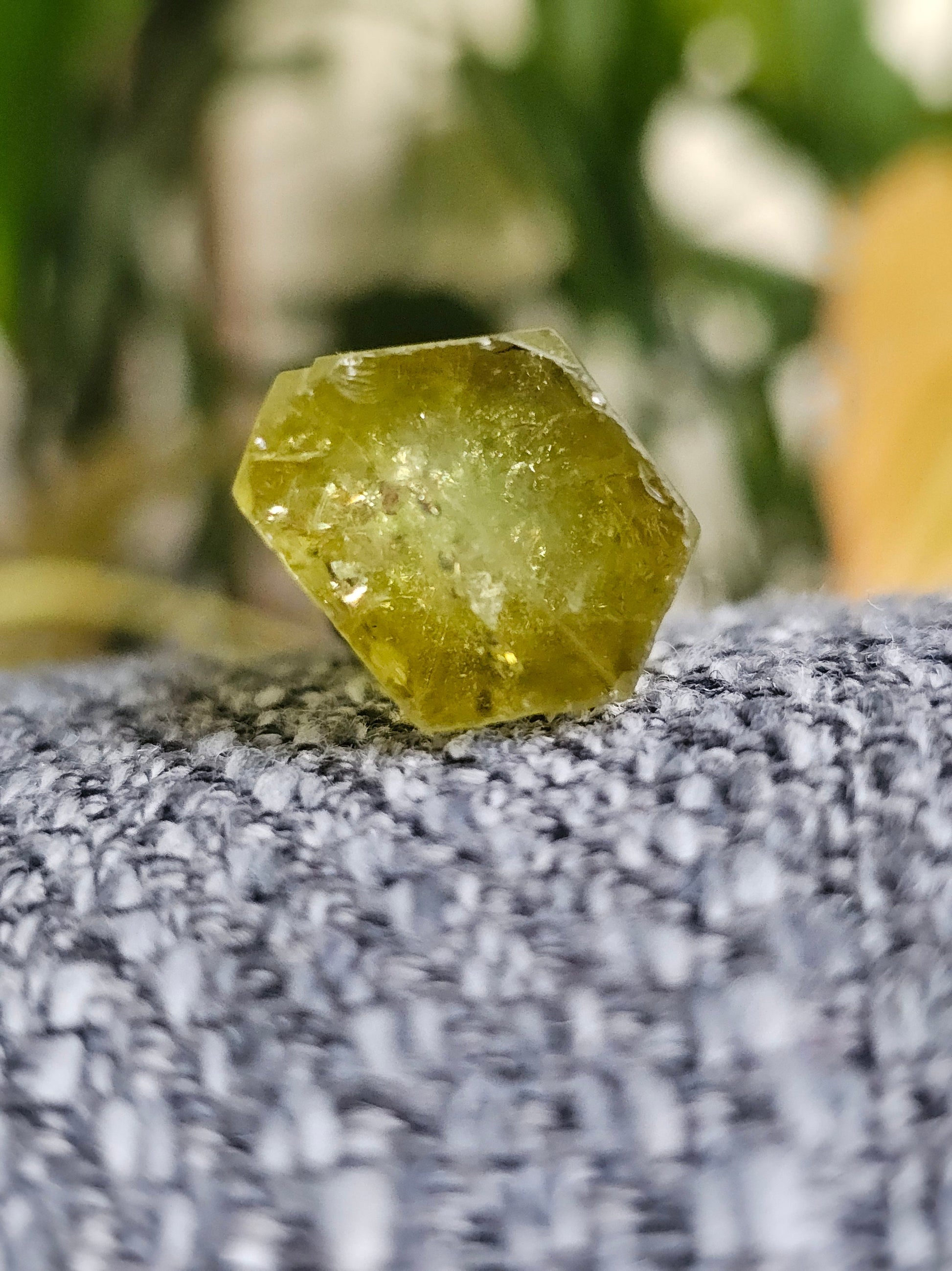 Heliodor w Hematite Rose, Big 25g Bright Yellow Beryl Crystal, Raw Terminated, High Luster, Saturated, Rare Collector Gemstone, Fine Mineral