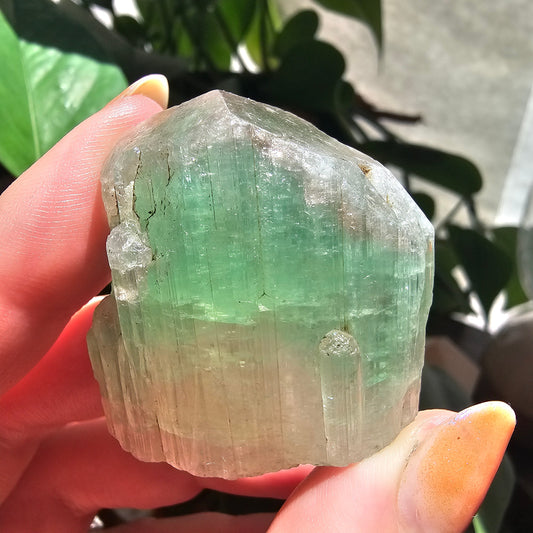 Large Tourmaline, Paprok Mine, 49g, Old Stock