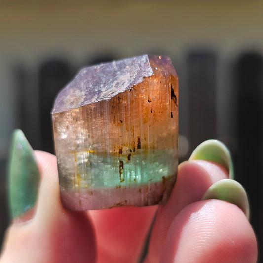 RESERVED Tourmaline Crystal, Double Terminated, 18.2g, Tricolor Gemstone, Uncleaned, Blue Purple and Orange Pink, Rare Colors, High End