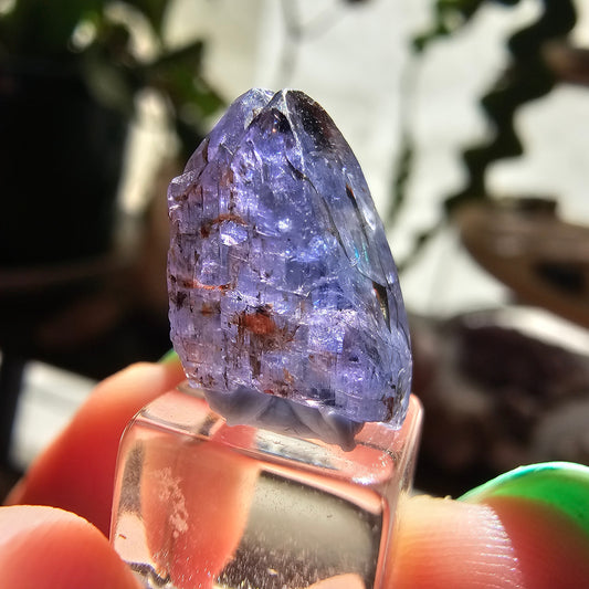10.2ct Tanzanite Crystal, Unheated Natural Terminated Gemstone, December Birthstone, Raw Purple Blue Zoisite, Merelani Hills, Pleocroism