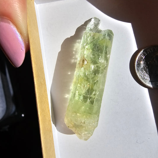 Heliodor Beryl, Etched Rare Raw Crystal Specimen, 8.6g Old Stock Padre Paraiso Material, Collector Mineral Gemstone, Bright Vibrant Stone