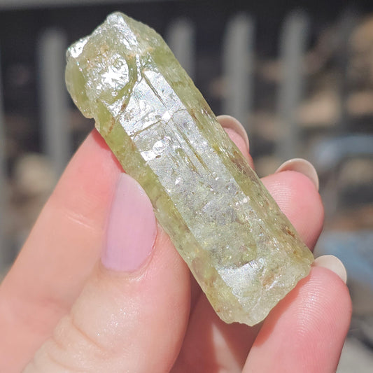 Heliodor Beryl ~ Etched Rare Raw Crystal Specimen, 25g Old Stock Padre Paraiso