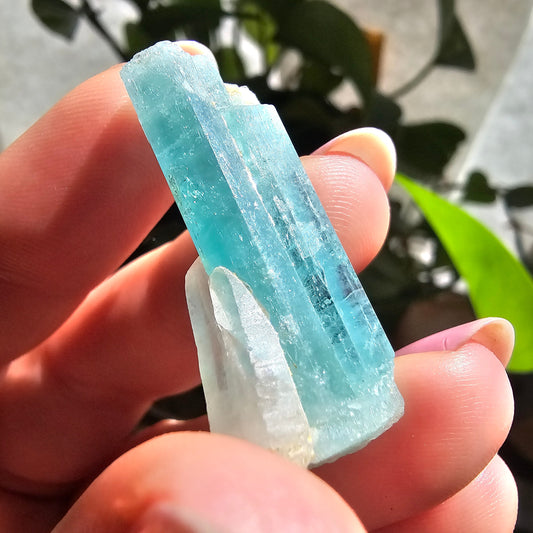 Emerald with Quartz, 40c Natural Terminated Crystal, Beautiful Earth, Rare Precious Beryl, Bright Neon Genuine Collector Gemstone, New Find