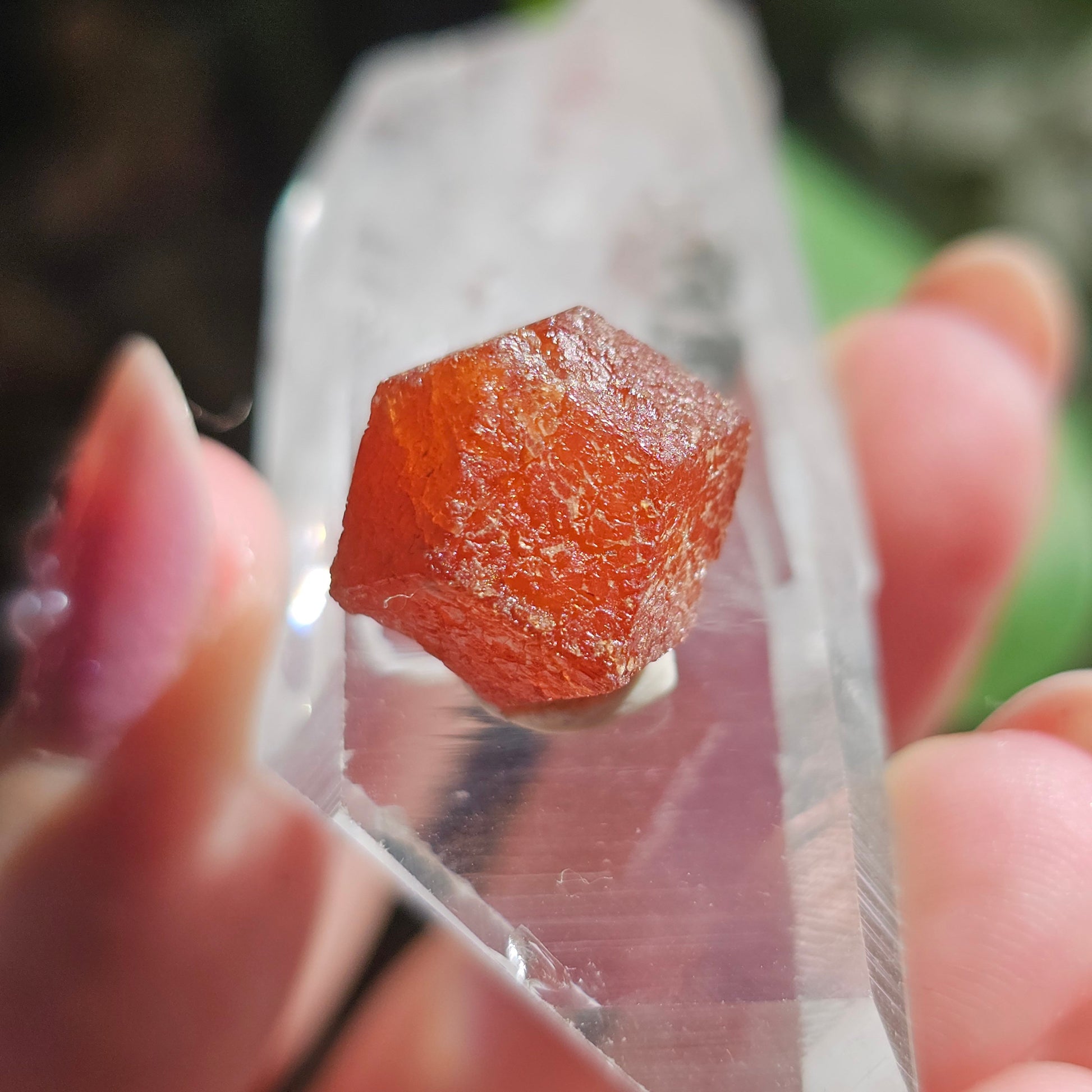 RARE Orange Garnet, 25ct Floater, Old Stock from Nigeria, Well Formed, Snakeskin Pattern, Rich Deep Color, Collector Spessartine, Gem Grade