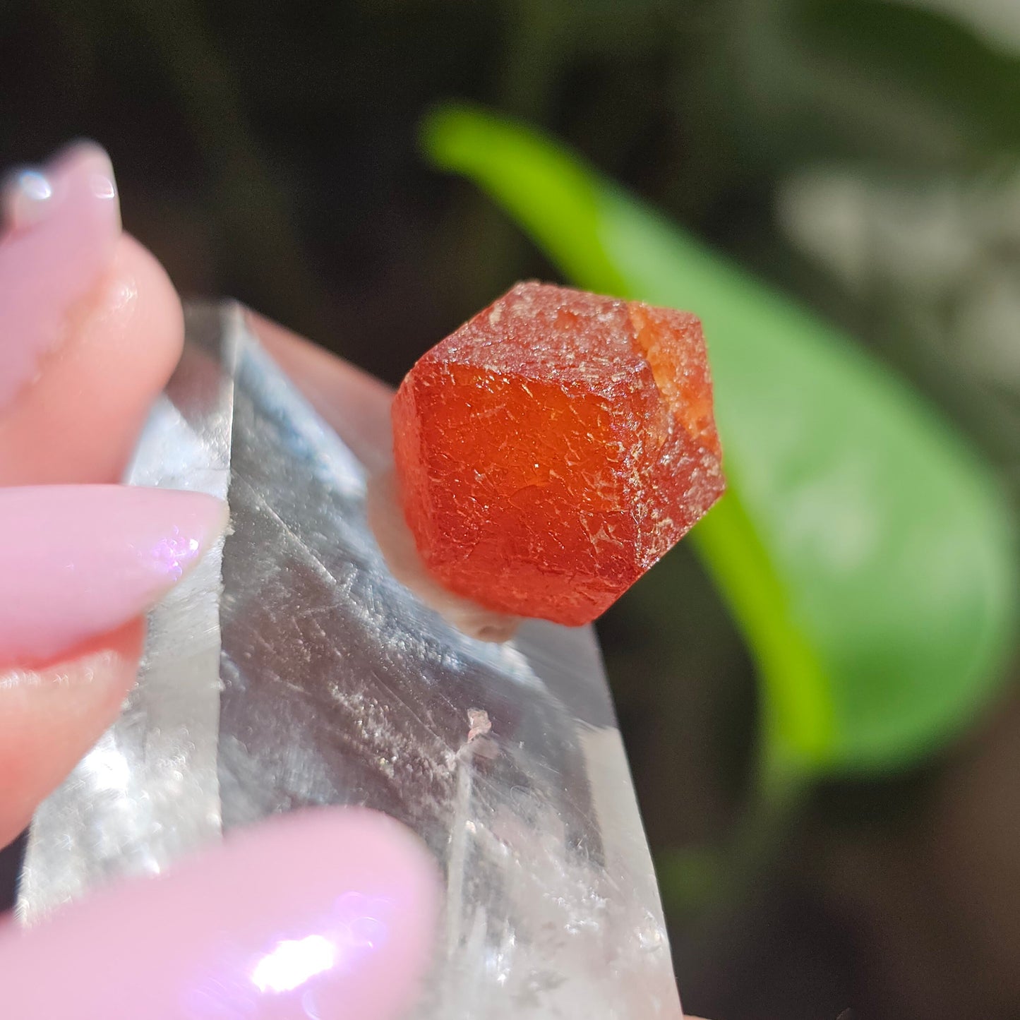 RARE Orange Garnet, 25ct Floater, Old Stock from Nigeria, Well Formed, Snakeskin Pattern, Rich Deep Color, Collector Spessartine, Gem Grade