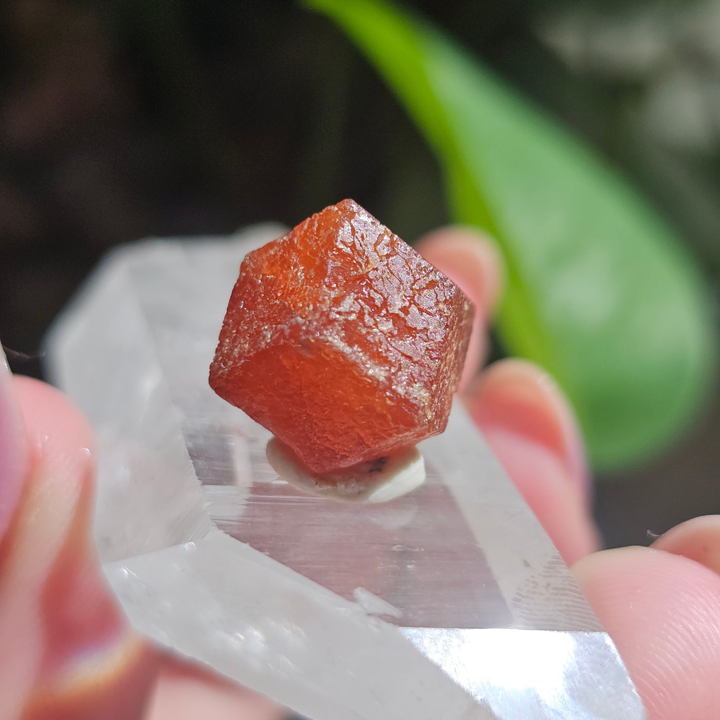 RARE Orange Garnet, 25ct Floater, Old Stock from Nigeria, Well Formed, Snakeskin Pattern, Rich Deep Color, Collector Spessartine, Gem Grade