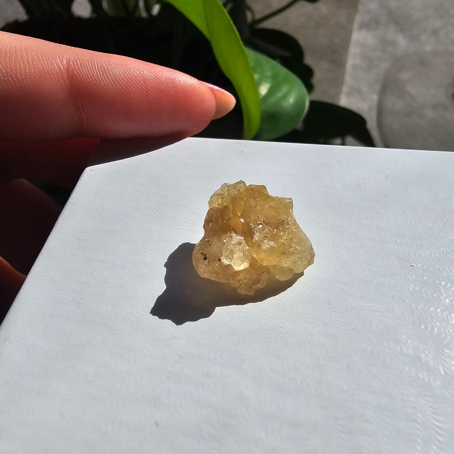 Gemmy Honey Garnet 15.3ct, Rare Hebei China Hessonite <100