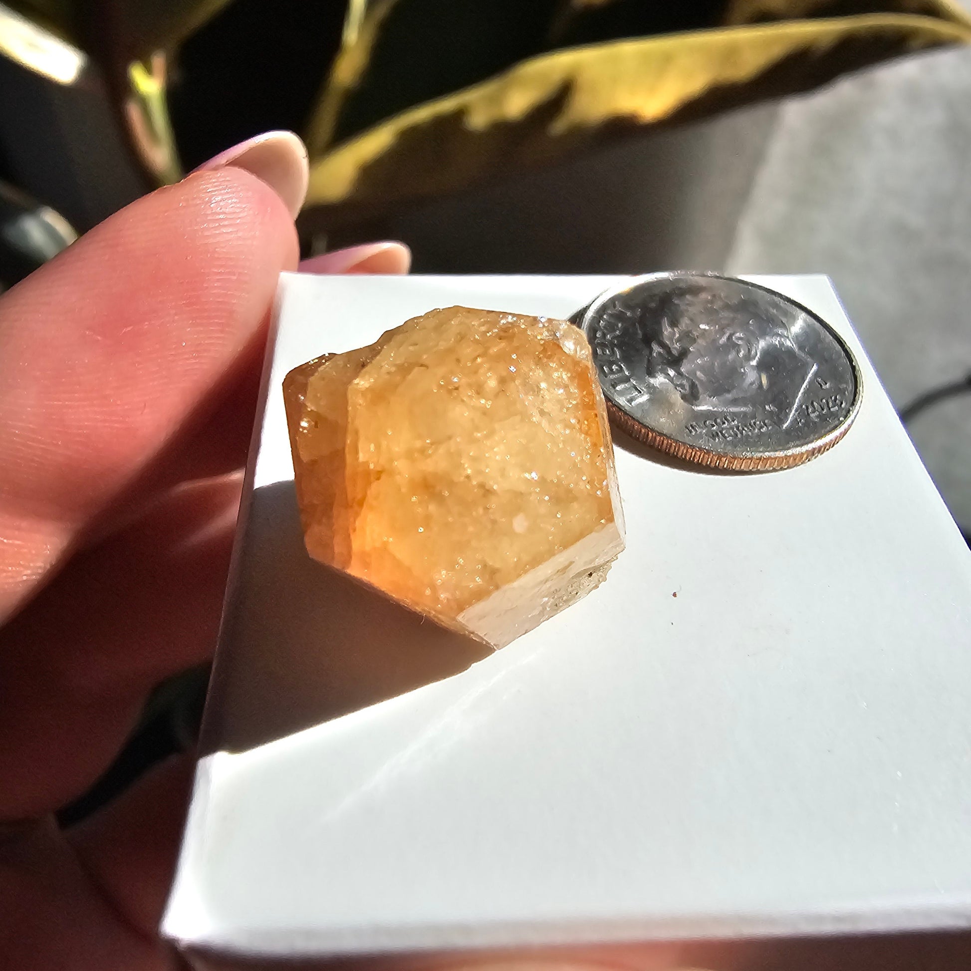 Rare Orange Garnet, 25.7ct Kenyan, Old Stock <100