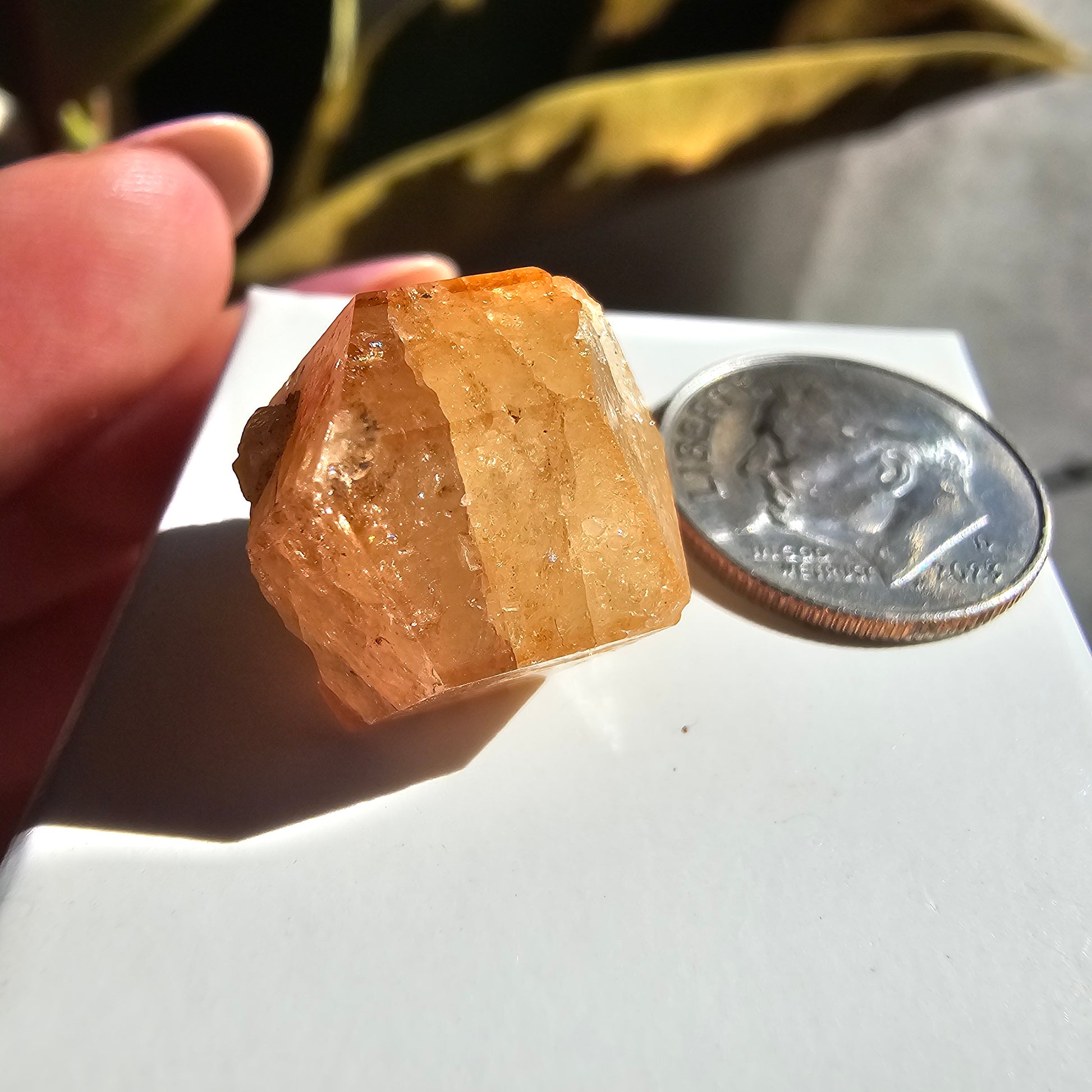 Rare Orange Garnet, 25.7ct Kenyan, Old Stock <100