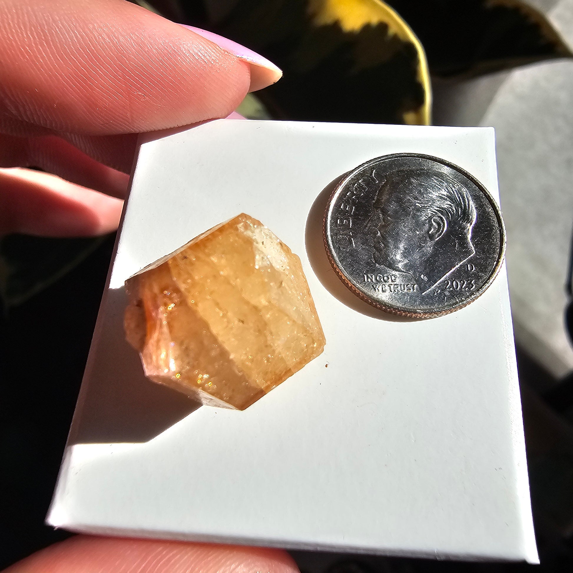 Rare Orange Garnet, 25.7ct Kenyan, Old Stock <100