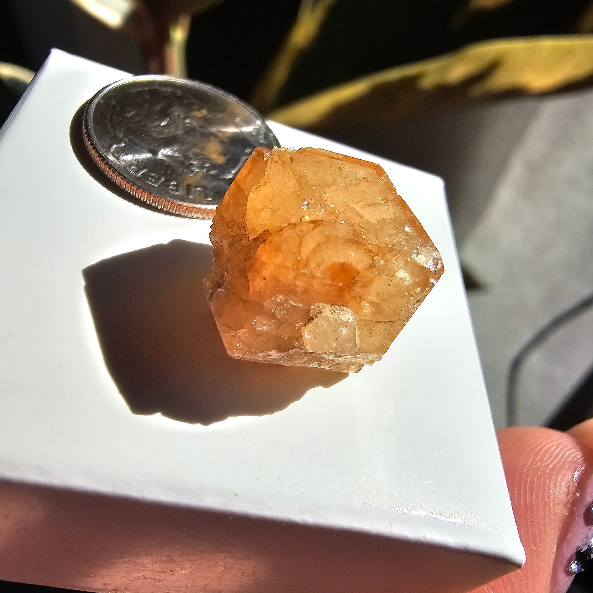 Rare Orange Garnet, 25.7ct Kenyan, Old Stock <100