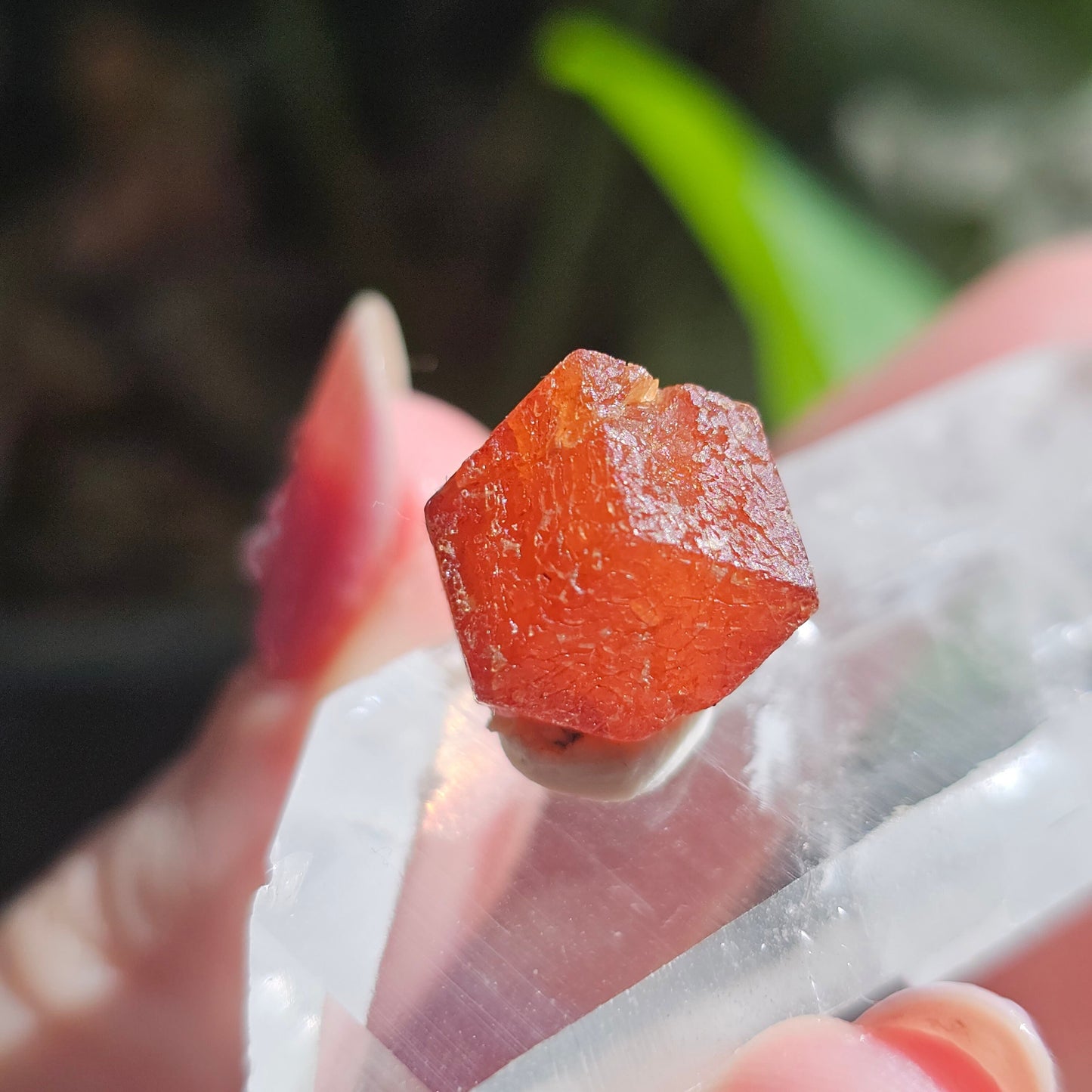 RARE Orange Garnet, 25ct Floater, Old Stock from Nigeria, Well Formed, Snakeskin Pattern, Rich Deep Color, Collector Spessartine, Gem Grade